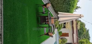 Restaurants Open Area Grass Carpets Environmental Friendly Grass