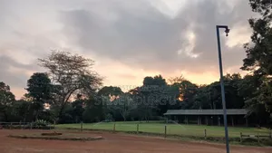Nature Photographer
