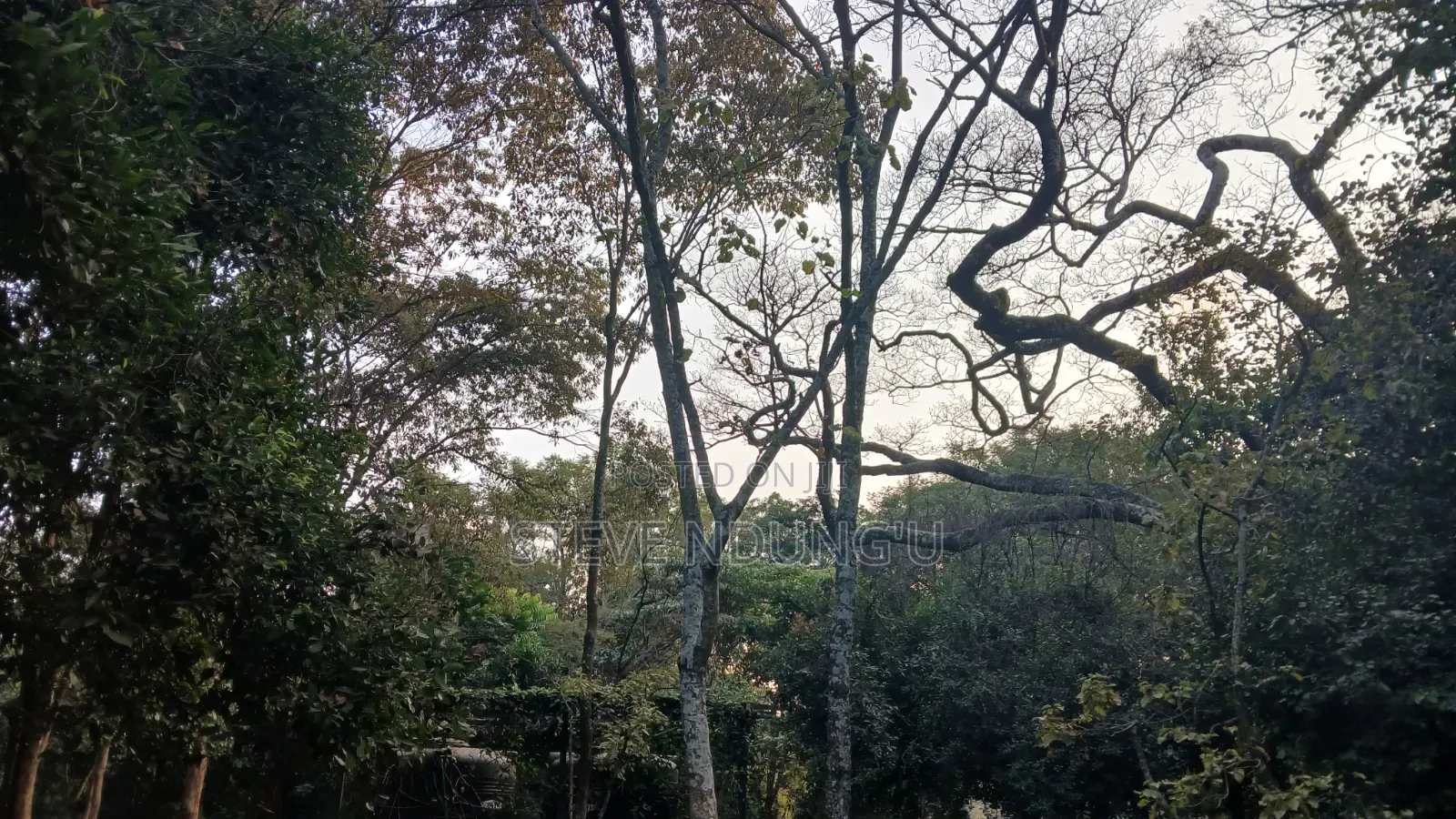 Nature Photographer