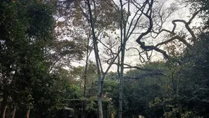 Nature Photographer