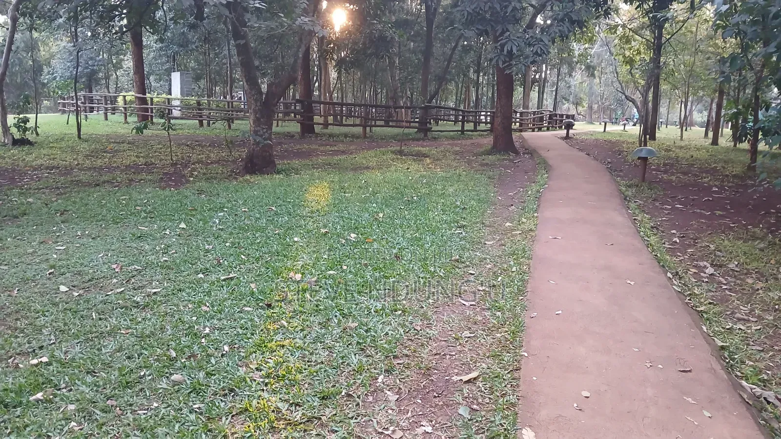 Nature Photographer