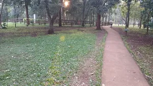 Nature Photographer