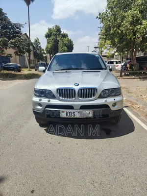 BMW X5 2006 Silver