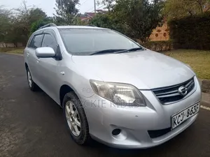 Toyota Corolla Fielder 2009 Silver