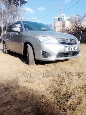 Toyota Axio 2013 Silver