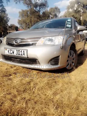 Toyota Axio 2013 Silver