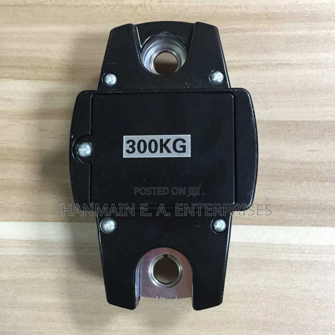 High Quality Digital 300kg Crane Scale