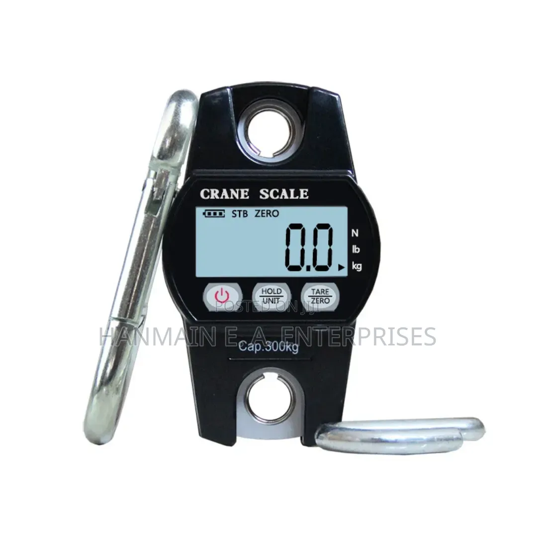 High Quality Digital 300kg Crane Scale