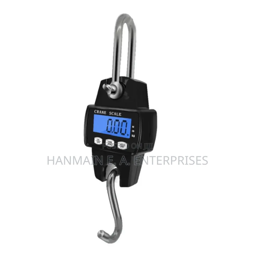 High Quality Digital 300kg Crane Scale