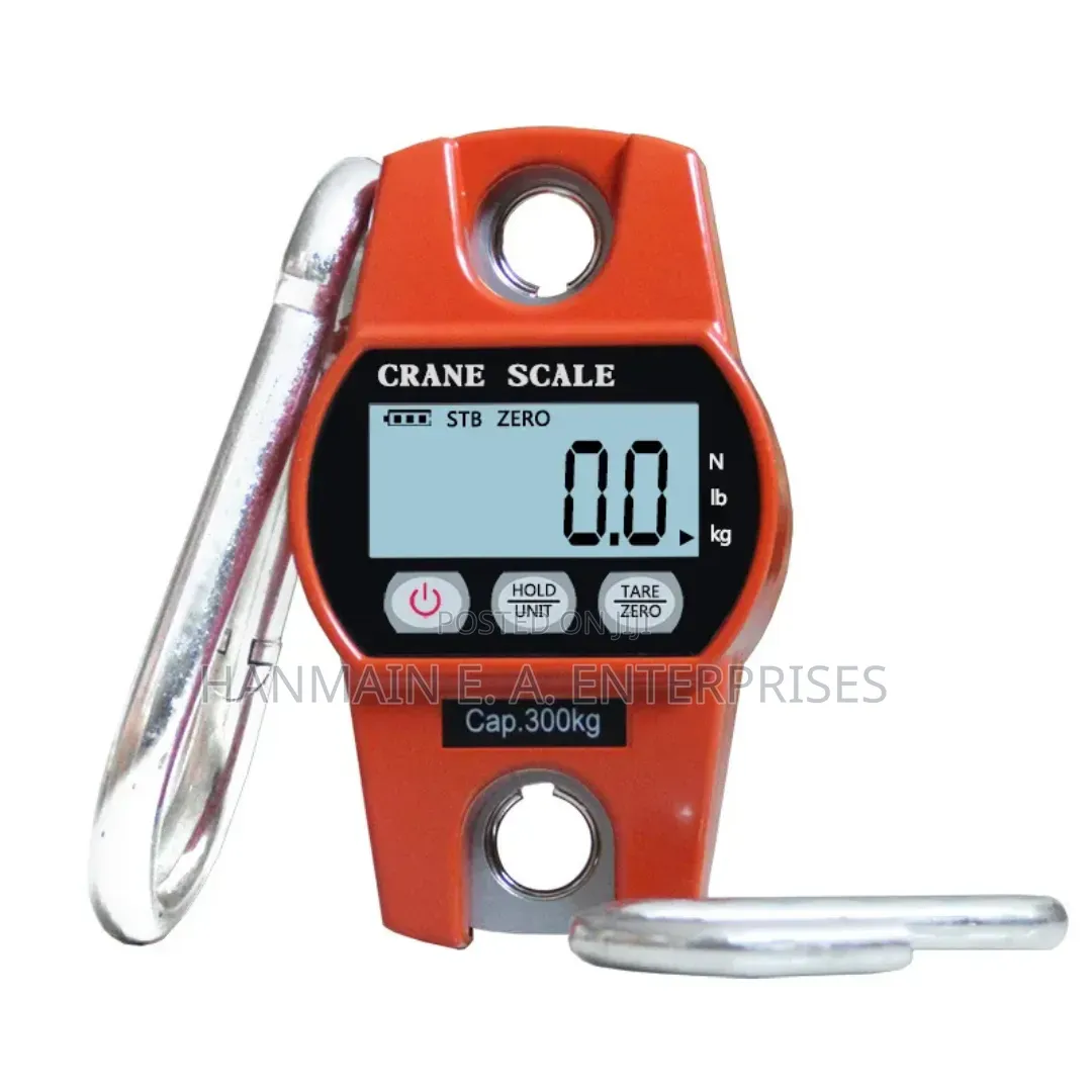 High Quality Digital 300kg Crane Scale