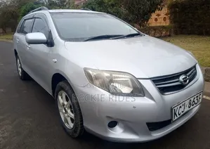 Toyota Corolla Fielder 2009 Silver