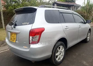 Toyota Corolla Fielder 2009 Silver