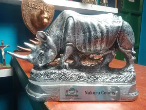 Rhino Sculptures for Awards,gifts Decoration