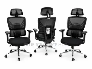 Executive Modern Office Chair With Headrest and Lumbar Support