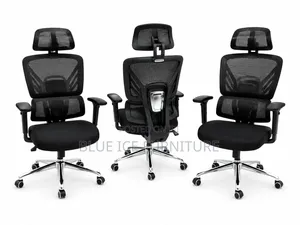 Executive Modern Office Chair With Headrest and Lumbar Support