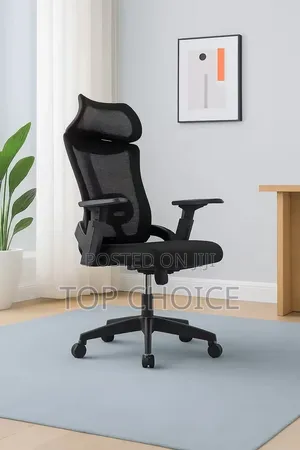 Ergonomic Office Chair