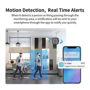 Mini Spy Hidden CCTV Camera WiFi Motion Detection Human Alert Kenya*
