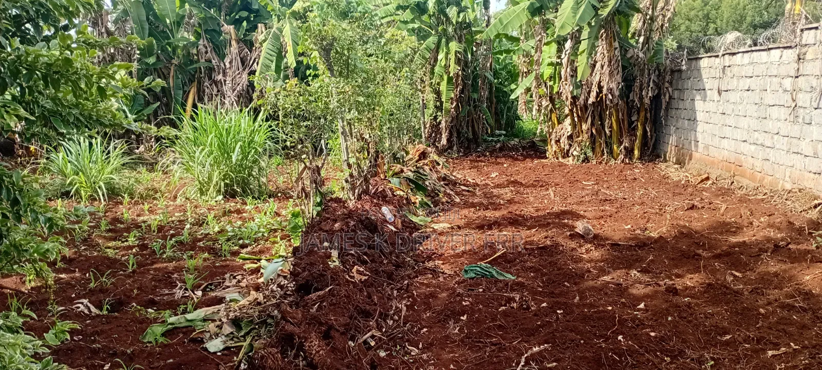 Land Plots for Sale