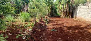 Land Plots for Sale