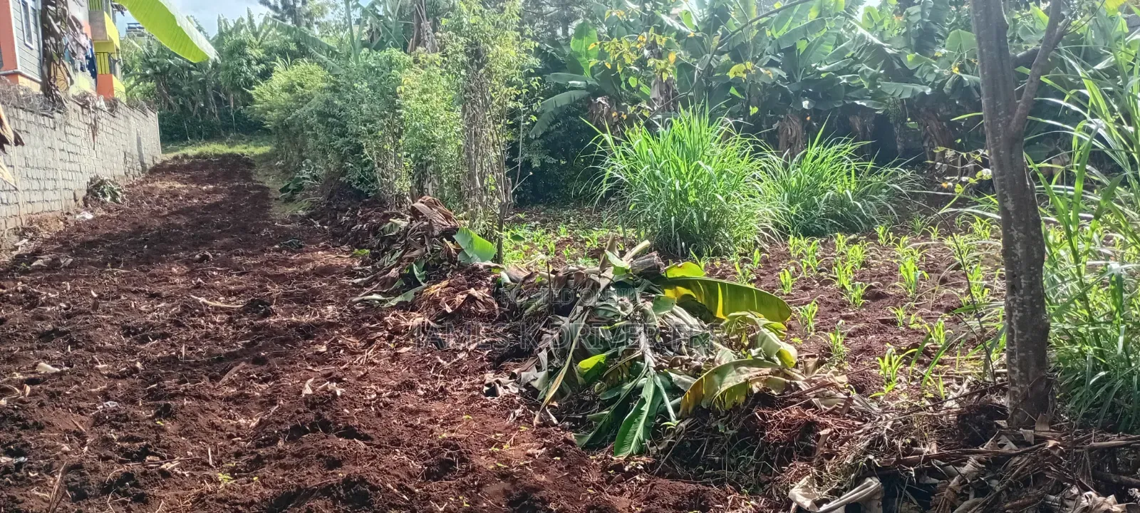 Land Plots for Sale