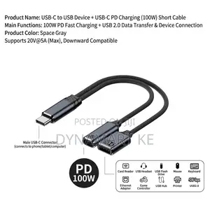 100W USB-C to USB 2.0 Female + Type-C PD Charging OTG Adapter Cable