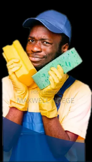 Limax Cleaning Company