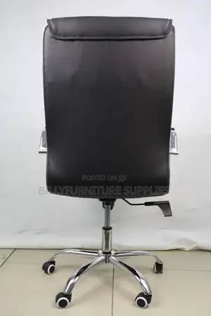 Executive Office Chair With Chrome Base