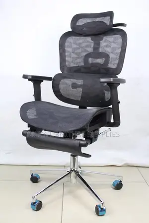 Orthopedic Mesh Office Chair With Headrest Footrest