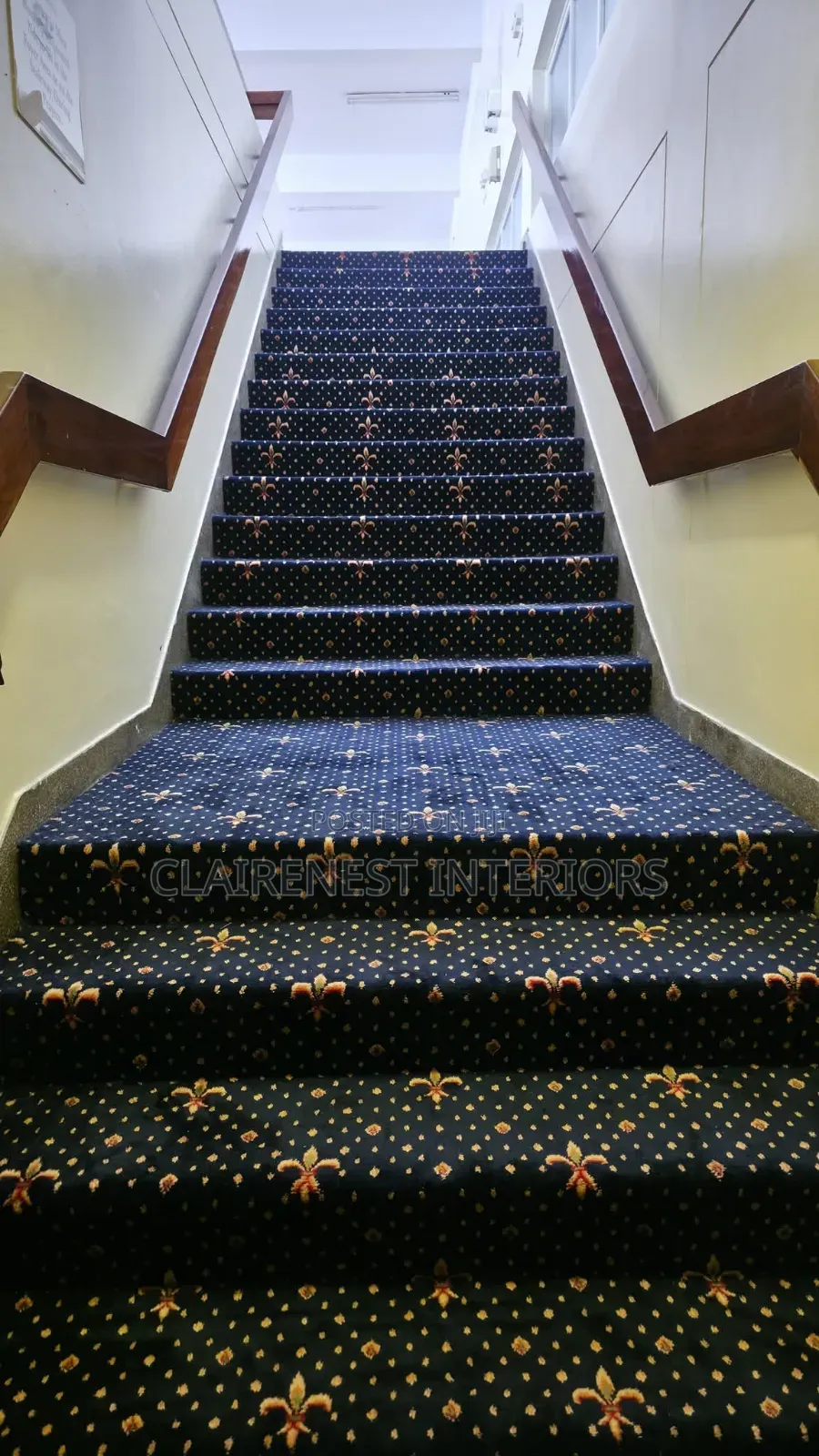 Enjoy Cozy Evenings at Home With Presidential Wall to Wall Carpets