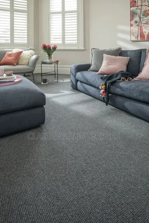 Give Your House a Premium Touch Today With Delta Wall to Wall Carpets