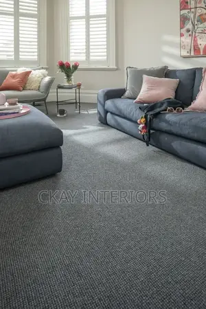 Give Your House a Premium Touch Today With Delta Wall to Wall Carpets