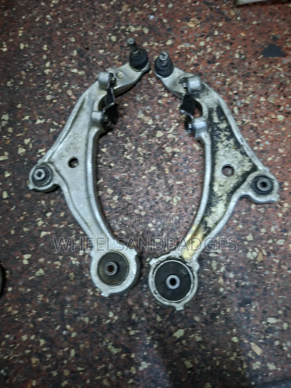 PNZ50 Murano Control Arms (1AA)