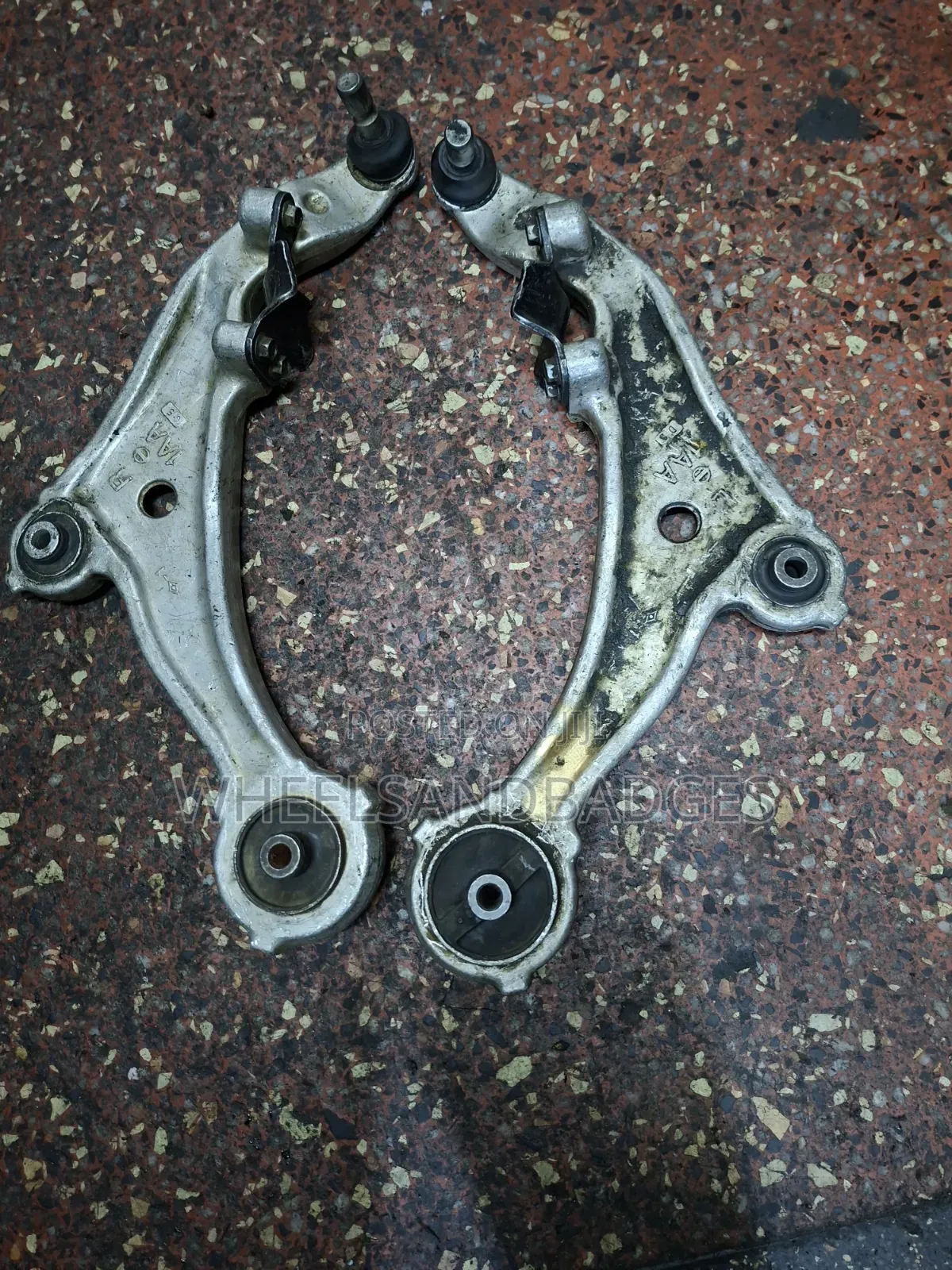 PNZ50 Murano Control Arms (1AA)