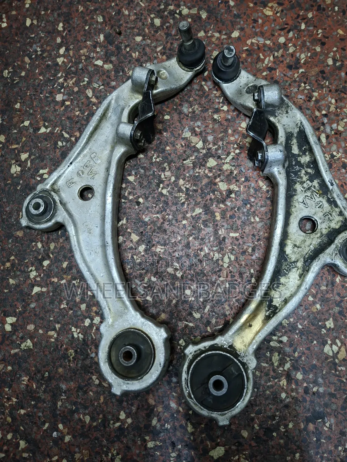 PNZ50 Murano Control Arms (1AA)