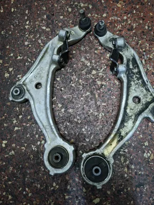 PNZ50 Murano Control Arms (1AA)