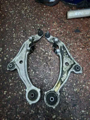 PNZ50 Murano Control Arms (1AA)