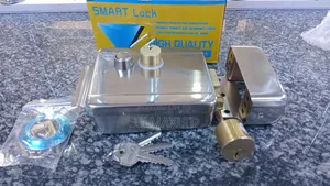 Electric Door Lock