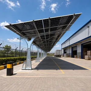 Solar Carport Systems Solar Panels for Businesses in Kenya