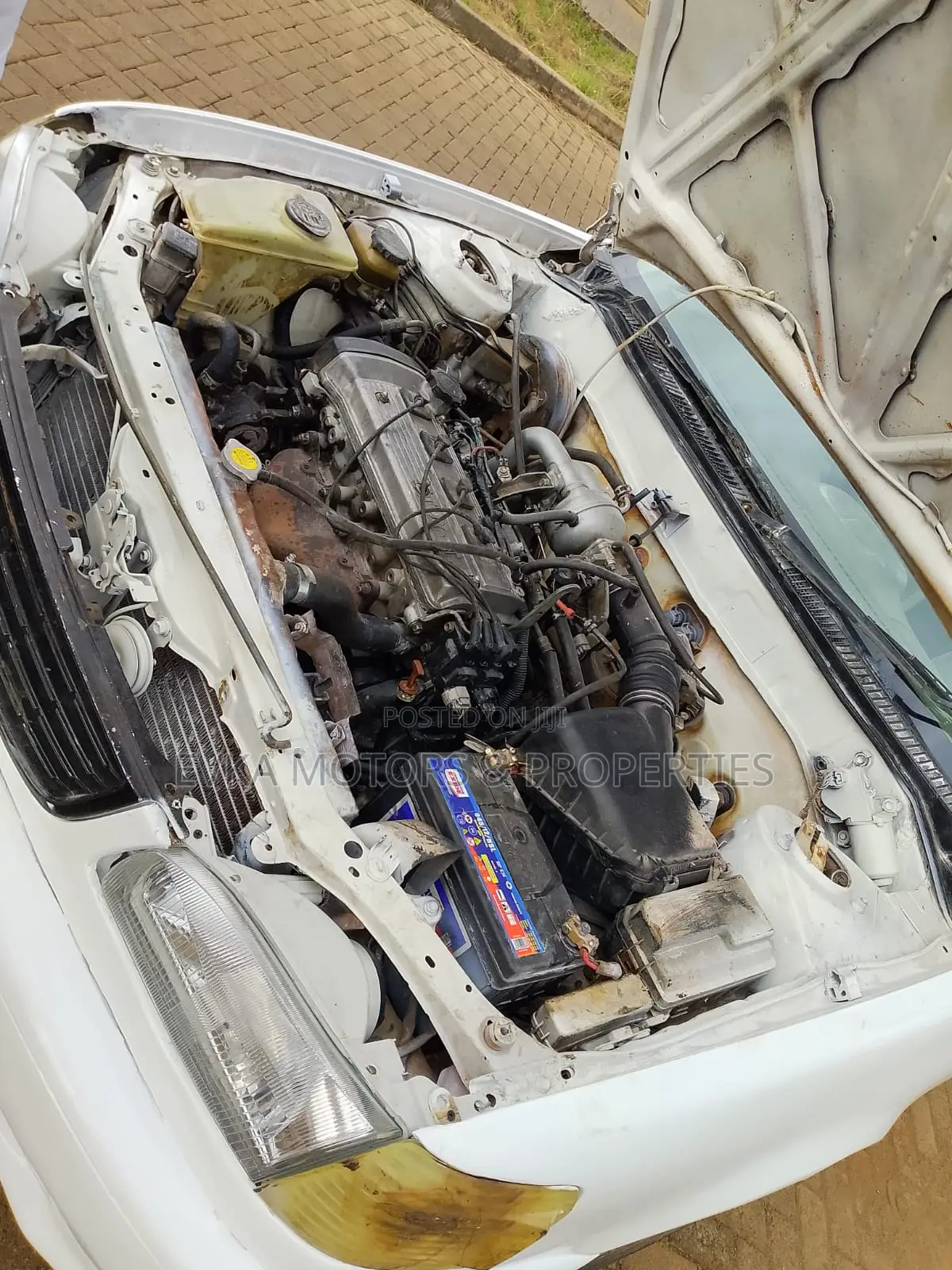 Toyota Corolla 2001 White
