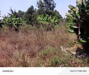 Land for Sale in Ndenderu