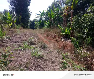 Land for Sale in Ndenderu