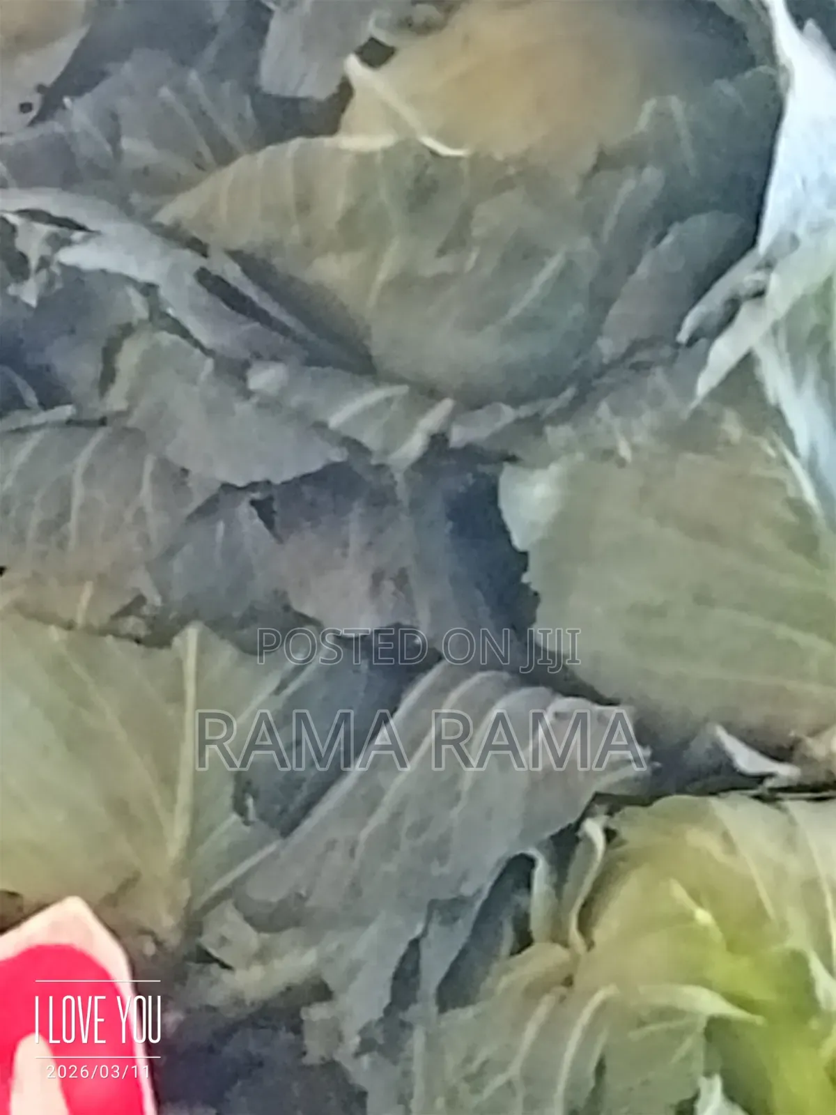 Fresh Food Market in Muthurwa