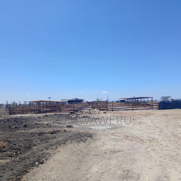 Land for Sale - thumbnail 11
