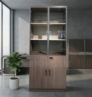 Office Cabinet; Two Doors Wooden Cabinet With Shelves