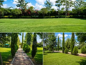 Kichakani Gardens Wedding/Events