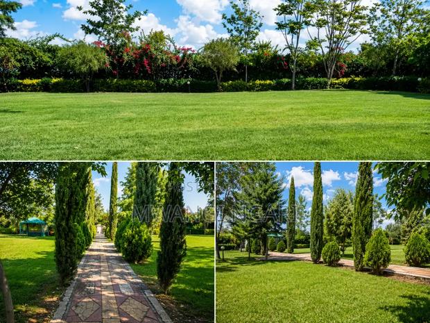 Kichakani Gardens Wedding/Events - thumbnail 2