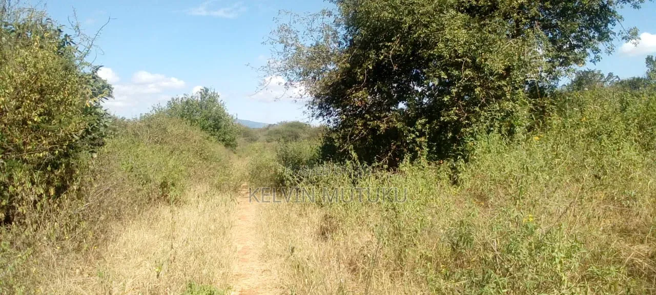 Land for Sale Along Garissa Highway Before Kithimani