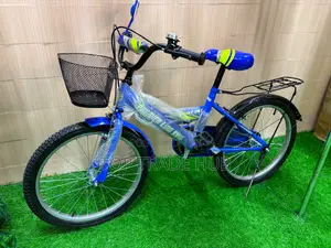Lion King Kids Bicycle Wheel Size - 20 Inch
