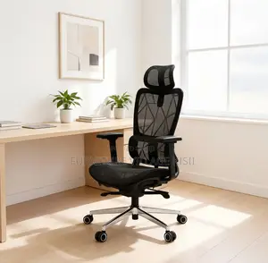 Office Chair: Ergonomic Office Chair