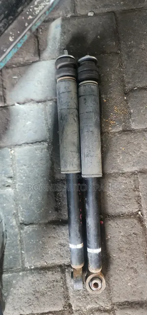 Suzuki Alto Rear Shock Absorber